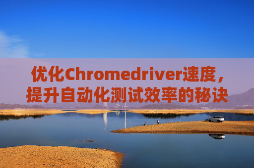 优化Chromedriver速度，提升自动化测试效率的秘诀